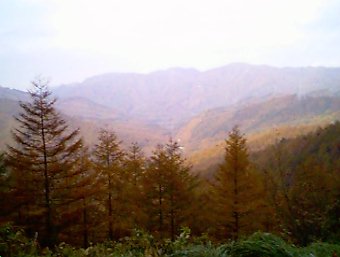 pic of budo-pass top