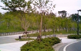 pic of park6